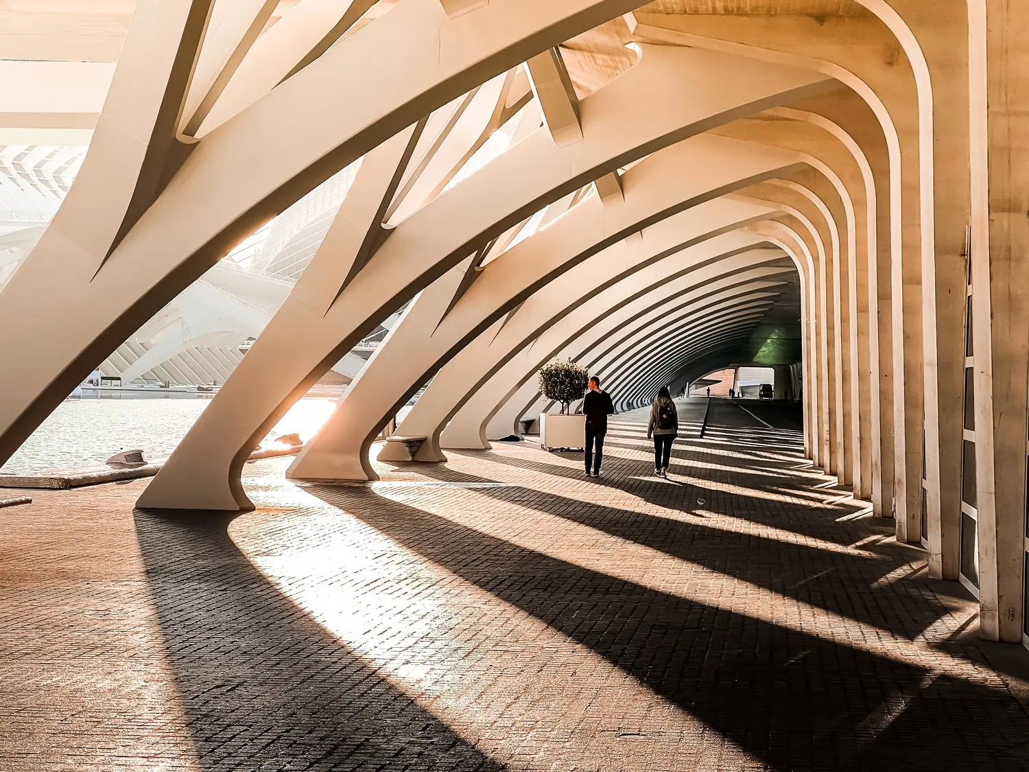 Kongres Architektury Zrównoważonej: Budownictwo ekologiczne